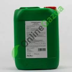 Fitohorm Örökzöld - 5 liter